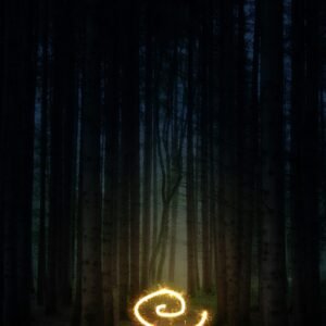 heart shaped light in the middle of forest